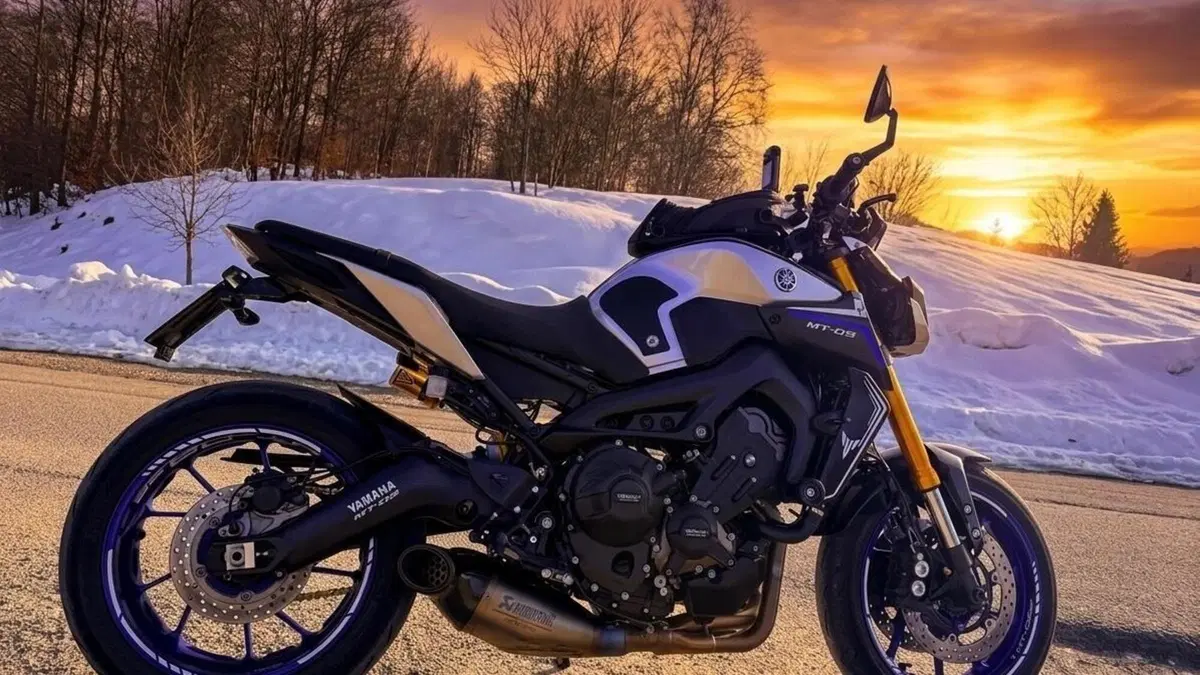 Yamaha MT-09 SP (2018 - 20)  (14)