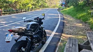 Triumph Street Triple RS (2020 - 22)  (6)