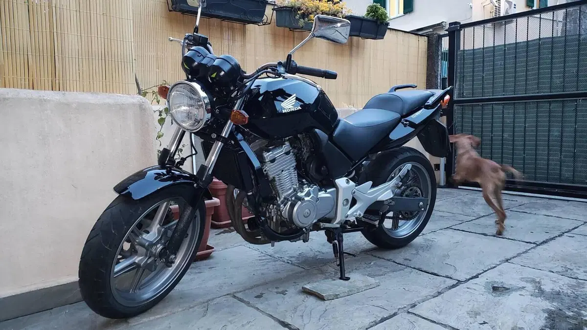 Honda CBF 500  (13)
