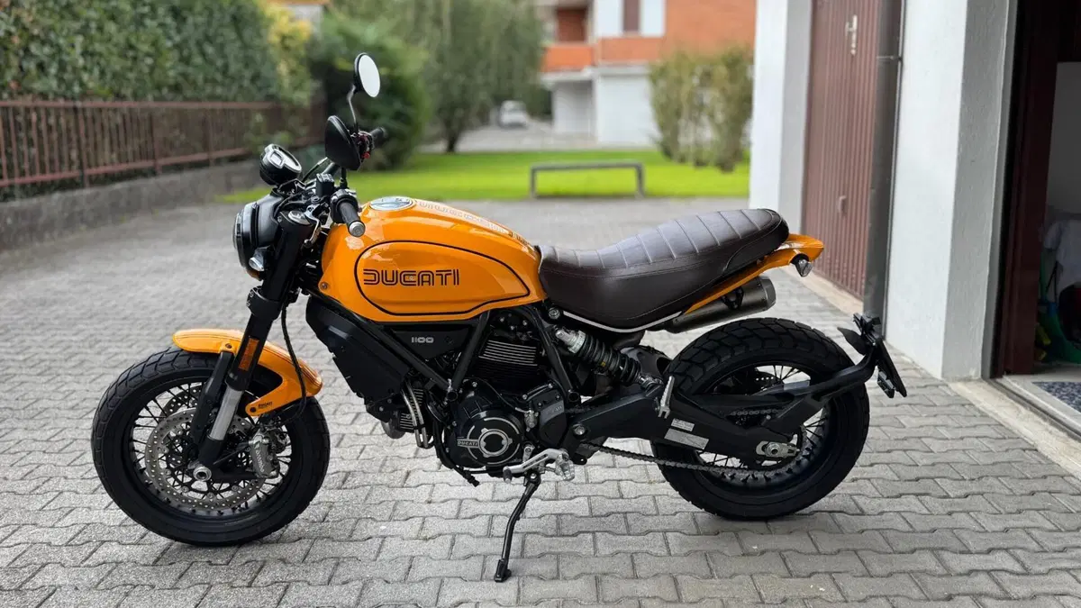 Ducati Scrambler 1100 Tribute Pro (2022 - 24)  (3)