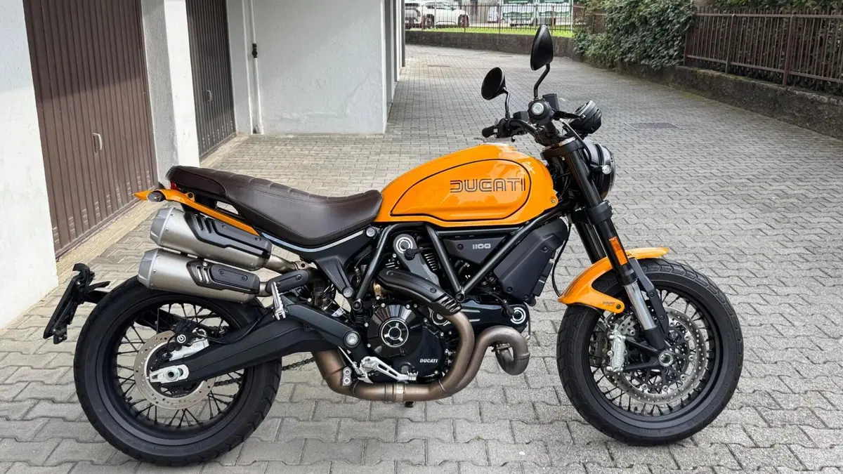 Ducati Scrambler 1100 Tribute Pro (2022 - 24)  (4)