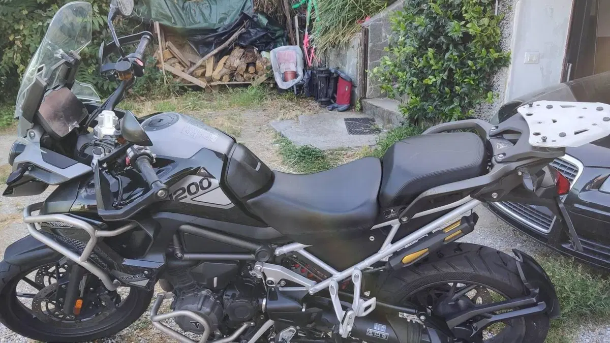 Triumph Tiger 1200 GT Pro (2022 - 23)  (3)