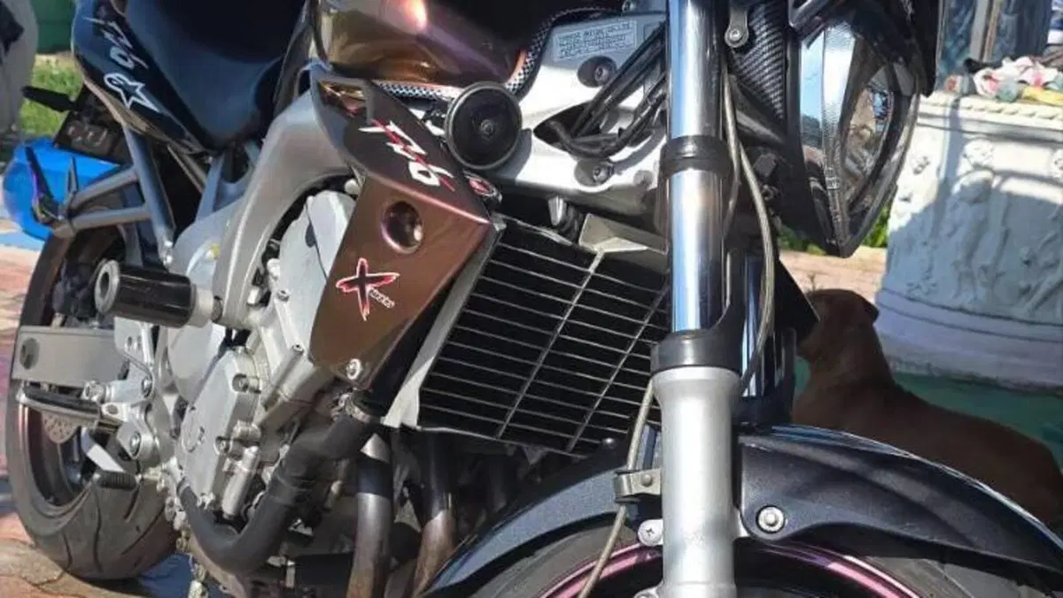 Yamaha FZ6 (2004 - 07)  (3)