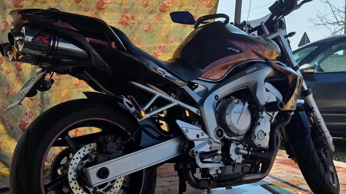 Yamaha FZ6 (2004 - 07)  (2)