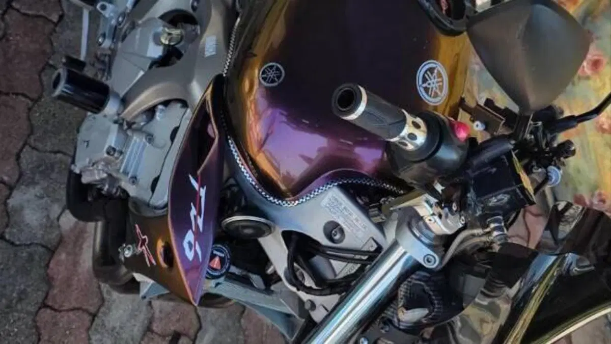 Yamaha FZ6 (2004 - 07)  (4)