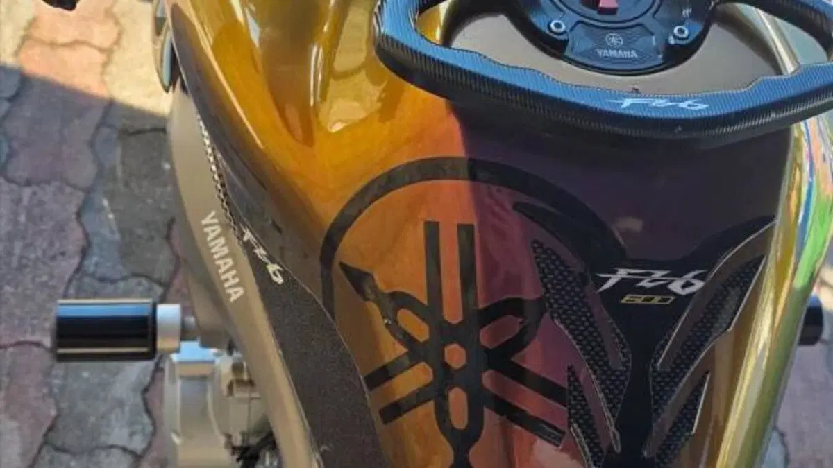 Yamaha FZ6 (2004 - 07)  (6)