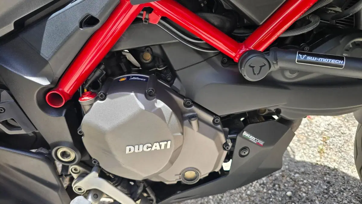 Ducati Multistrada 950 S (2019 - 20)  (6)
