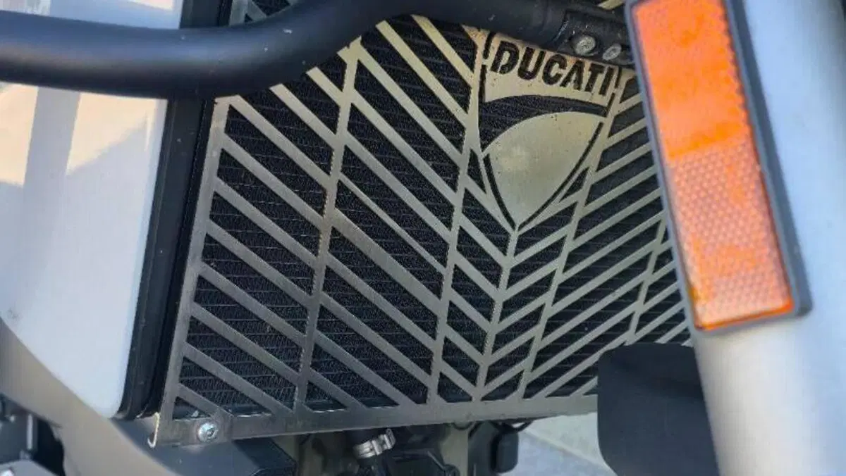 Ducati Multistrada 950 S (2019 - 20)  (10)
