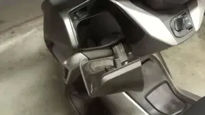 Honda Forza 300 ABS (2018 - 20)  (9)