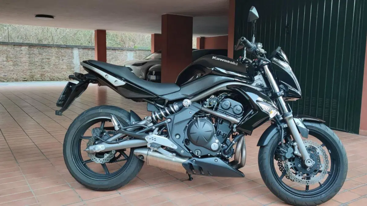 Kawasaki ER-6N (2009 - 11)  (2)