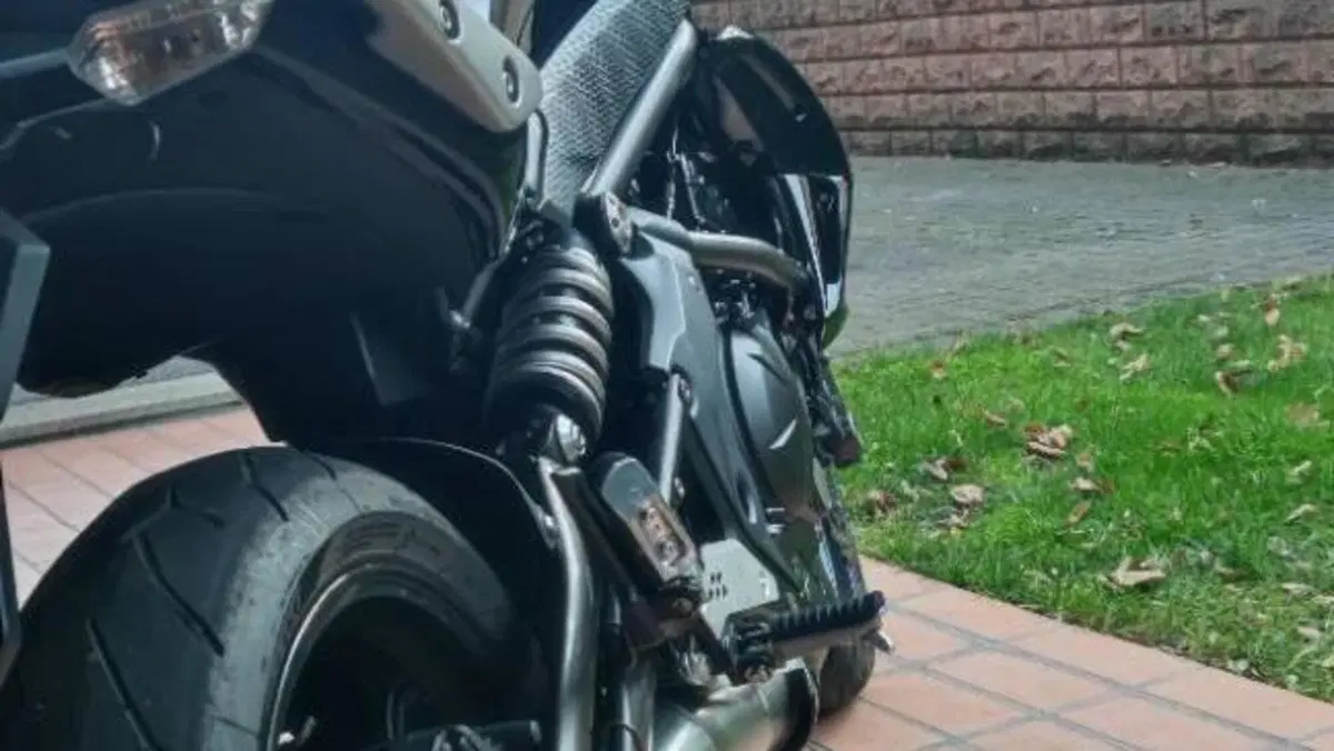 Kawasaki ER-6N (2009 - 11)  (3)
