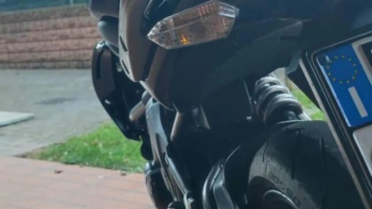 Kawasaki ER-6N (2009 - 11)  (4)