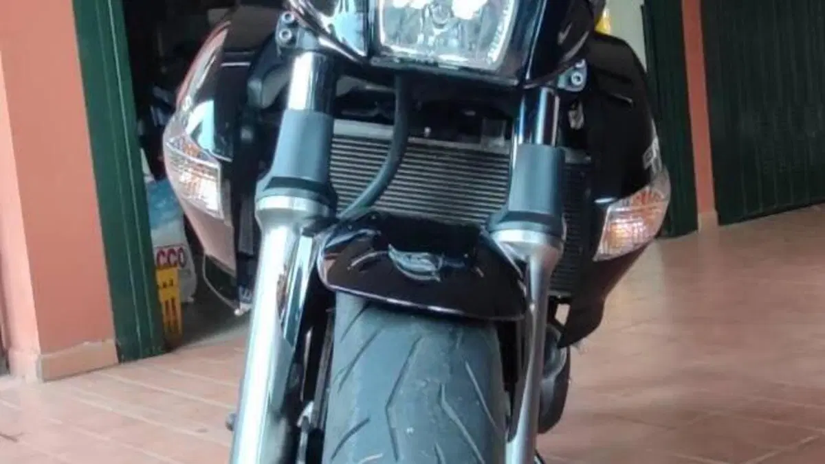 Kawasaki ER-6N (2009 - 11)  (5)