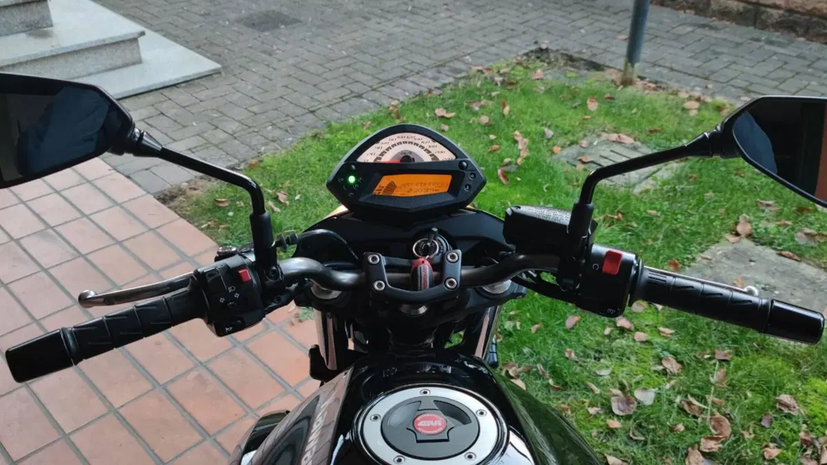 Kawasaki ER-6N (2009 - 11)  (6)