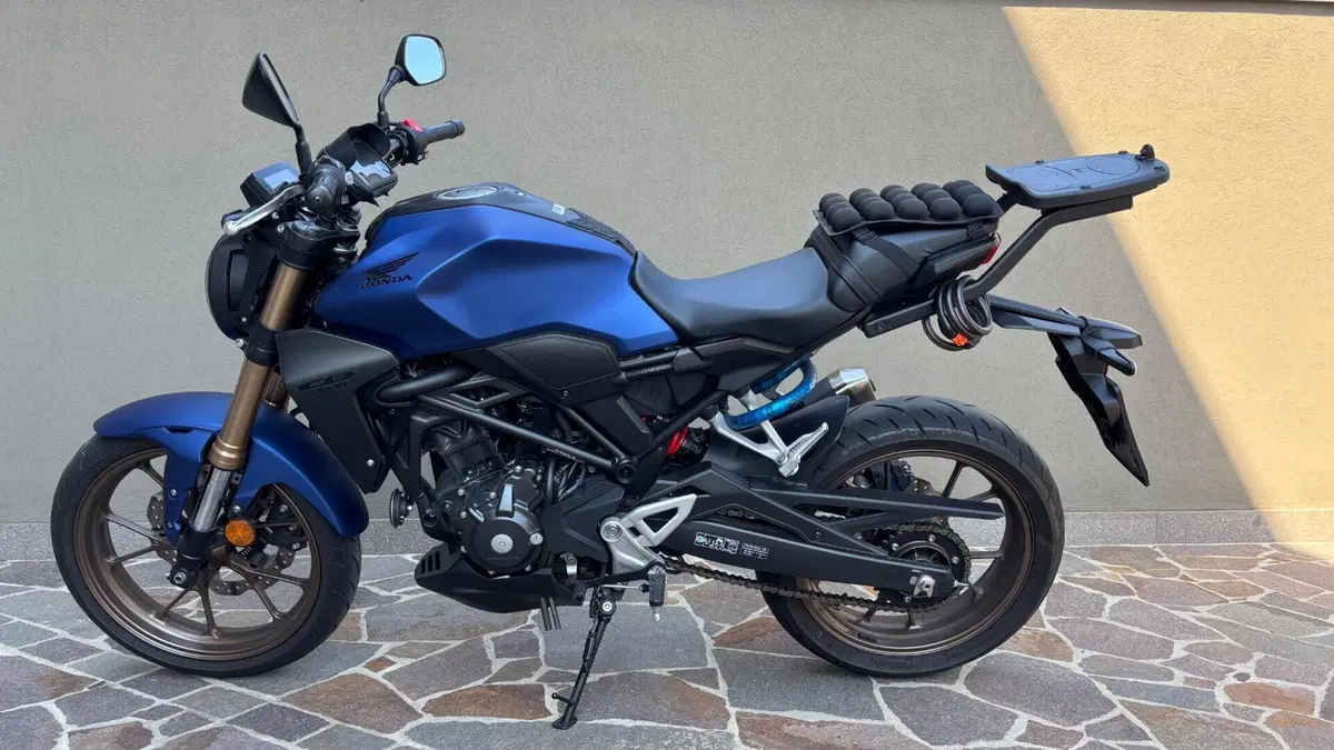 Honda CB 300 R (2022 - 26)  (2)