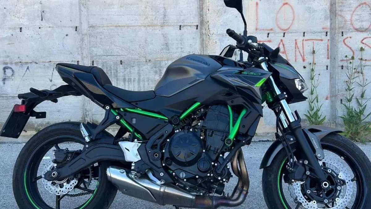 Kawasaki Z 650 (2021 - 24)  (2)