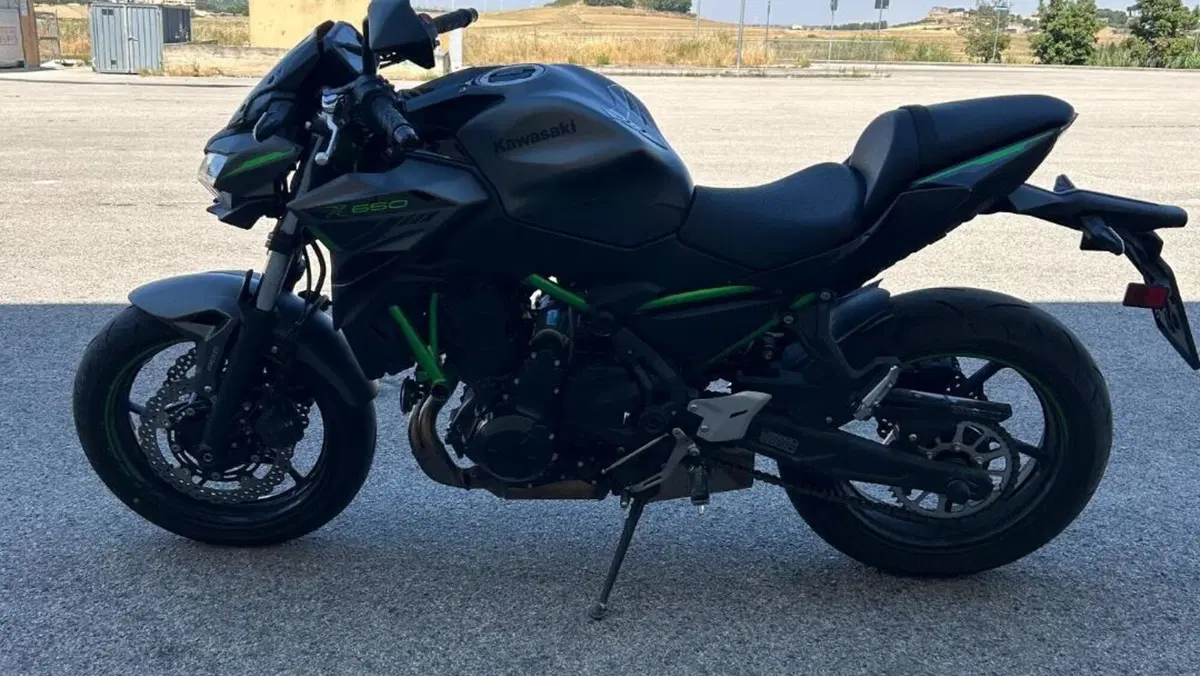 Kawasaki Z 650 (2021 - 24)  (7)