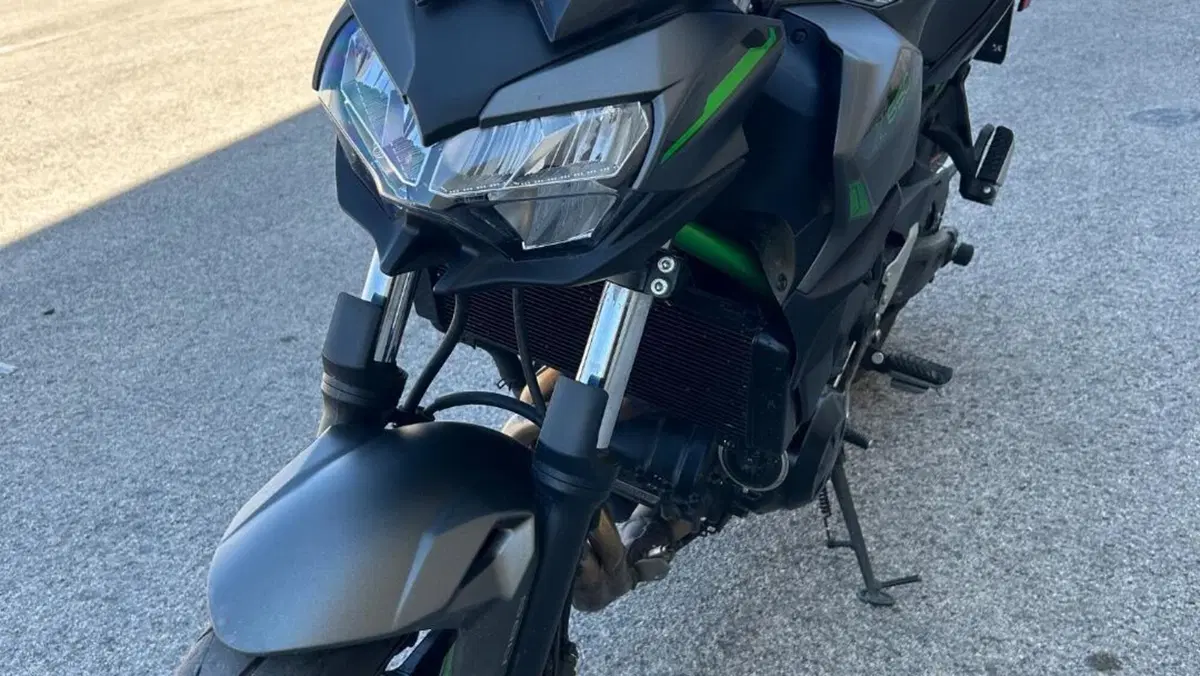 Kawasaki Z 650 (2021 - 24)  (10)