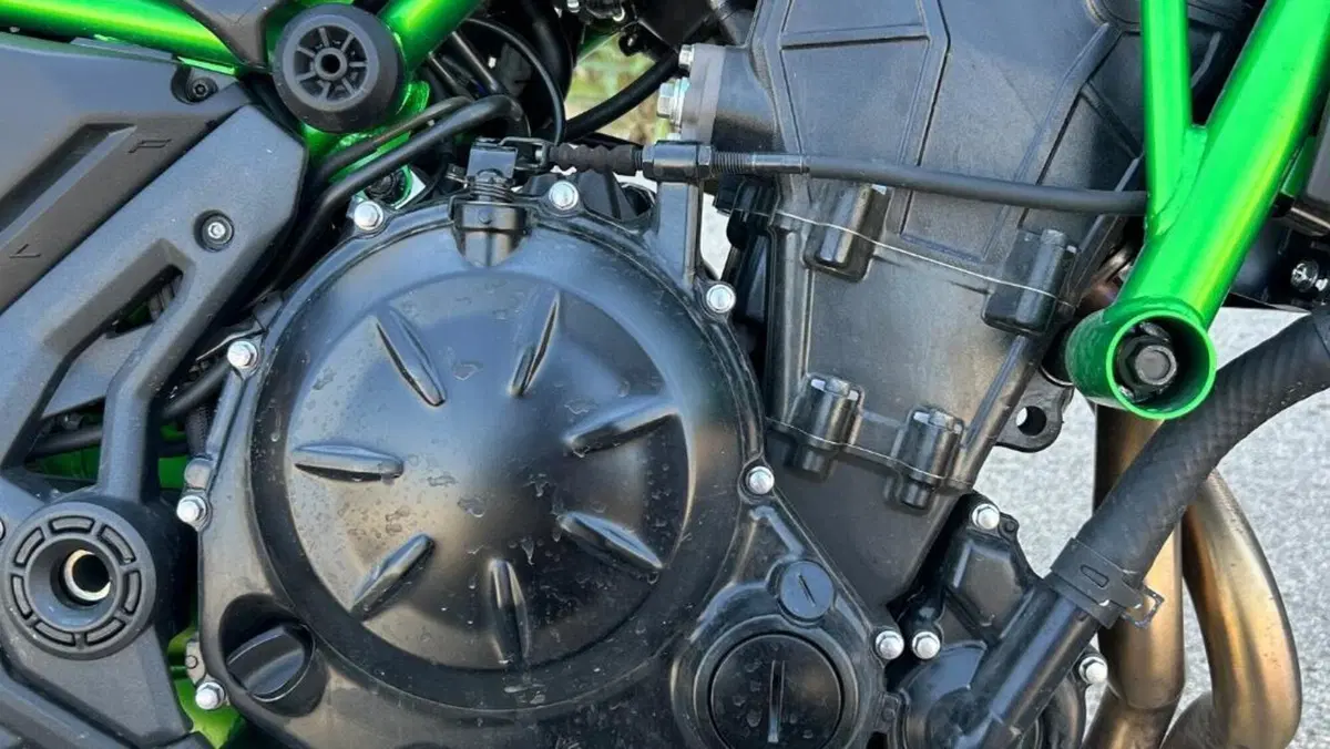 Kawasaki Z 650 (2021 - 24)  (12)