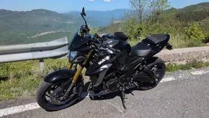 Suzuki GSX S 750 Yugen (2018 - 20)  (8)