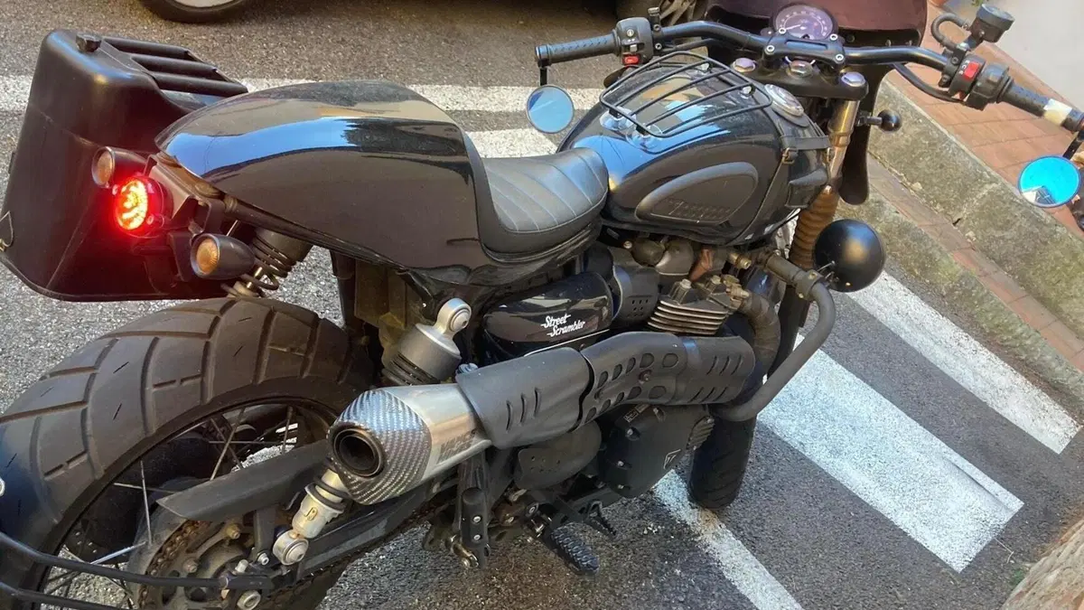 Triumph Street Scrambler 900 (2017 - 18) 