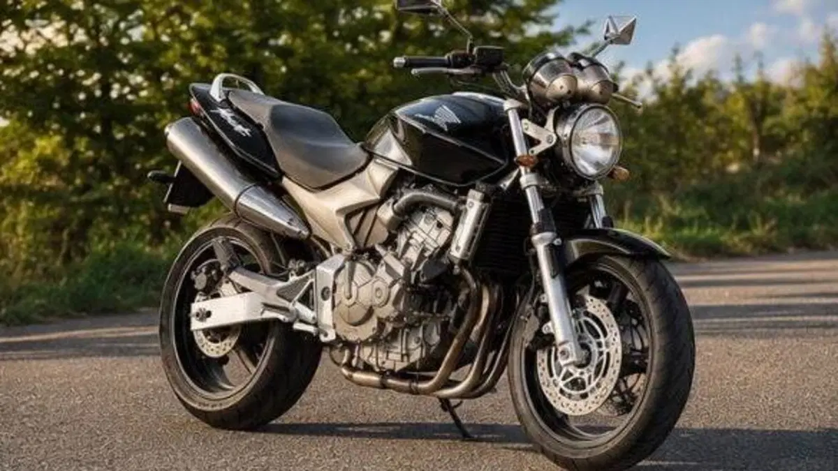 Honda Hornet 600 (2003 - 04)  (2)