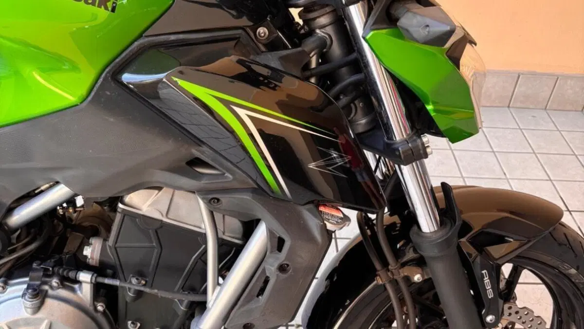 Kawasaki Z 650 (2017 - 19)  (2)