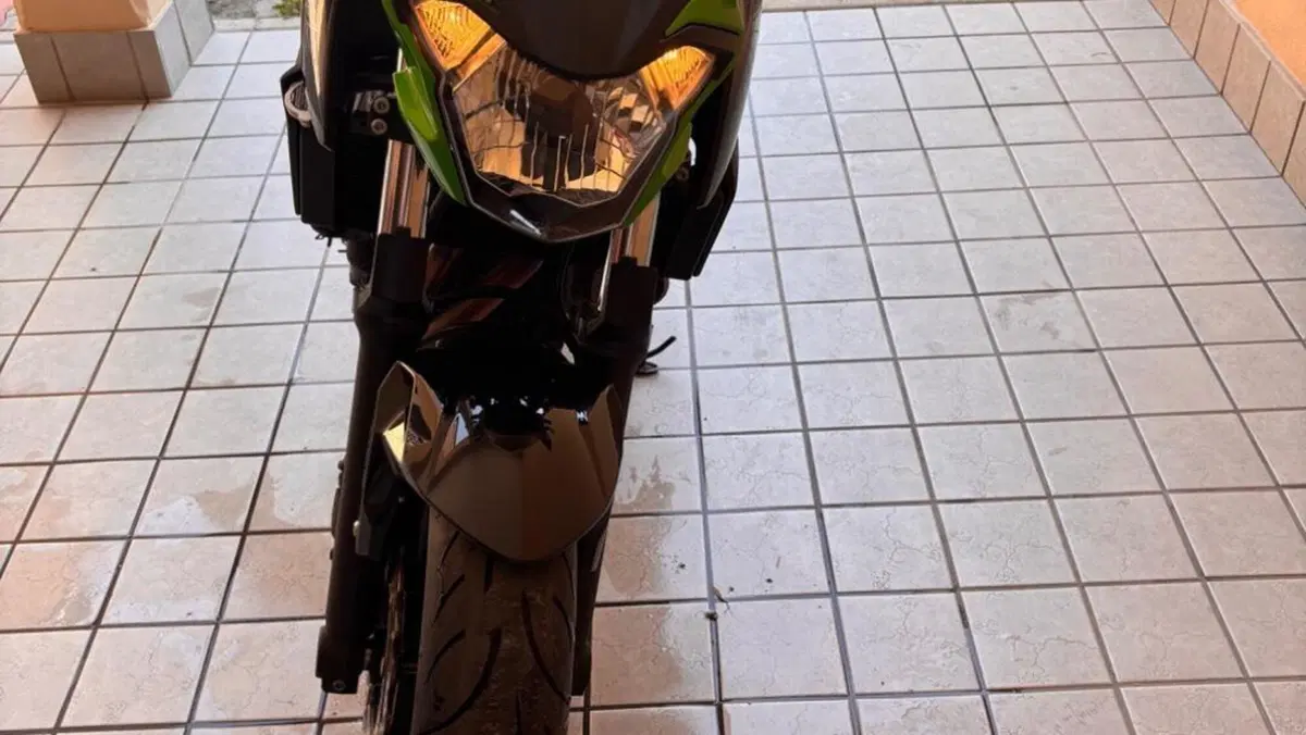 Kawasaki Z 650 (2017 - 19)  (4)
