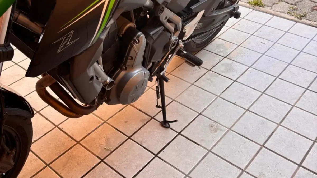 Kawasaki Z 650 (2017 - 19)  (5)