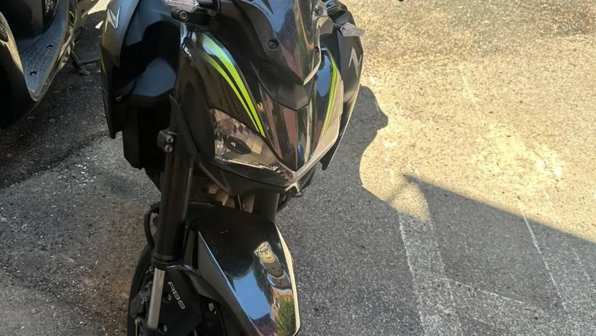 Kawasaki Z 900 (2019)  (2)