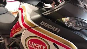 Ducati Multistrada 1200 Enduro (2016 - 18)  (13)