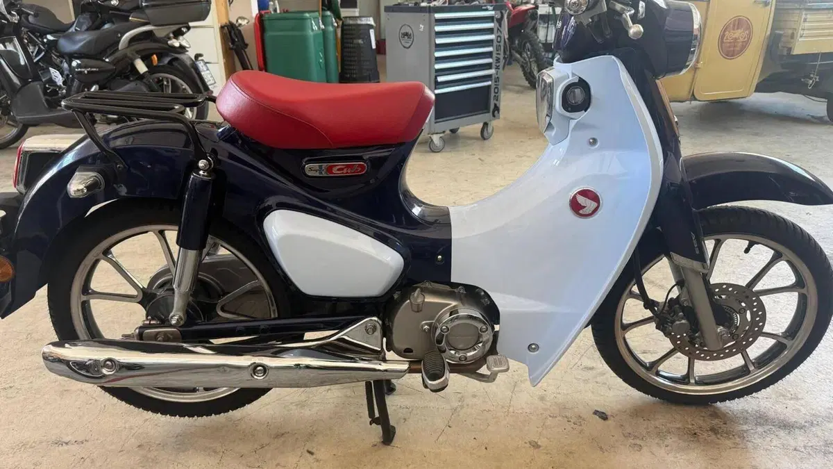 Honda Super Cub C125 (2018 - 20)  (2)