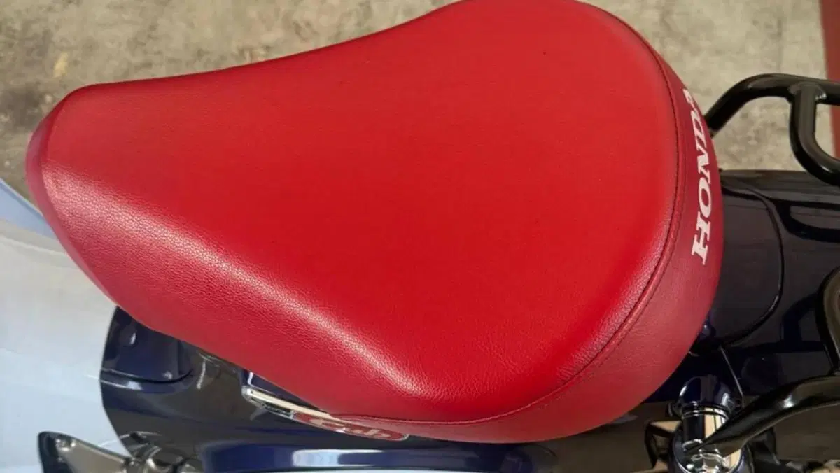 Honda Super Cub C125 (2018 - 20)  (6)