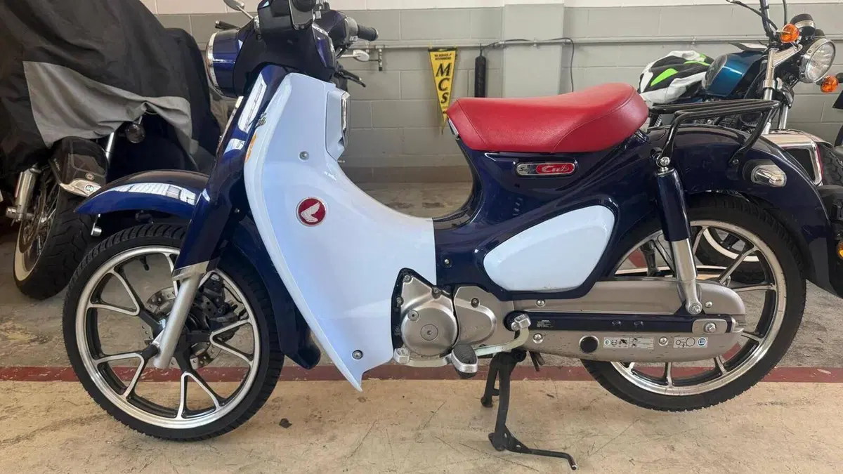 Honda Super Cub C125 (2018 - 20)  (9)