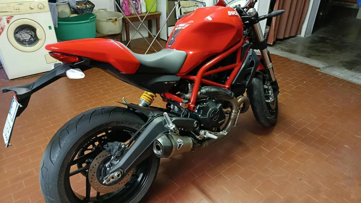 Ducati Monster 797 (2017 - 18)  (2)