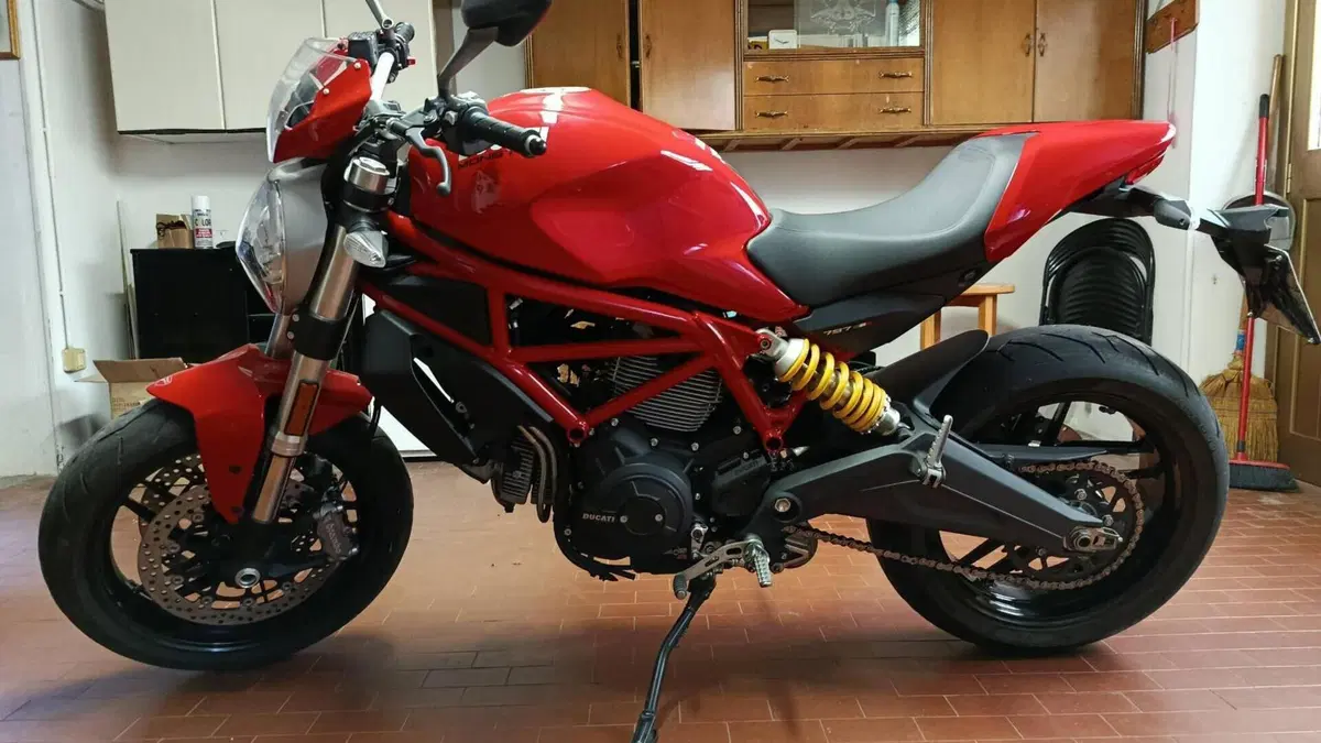 Ducati Monster 797 (2017 - 18) 