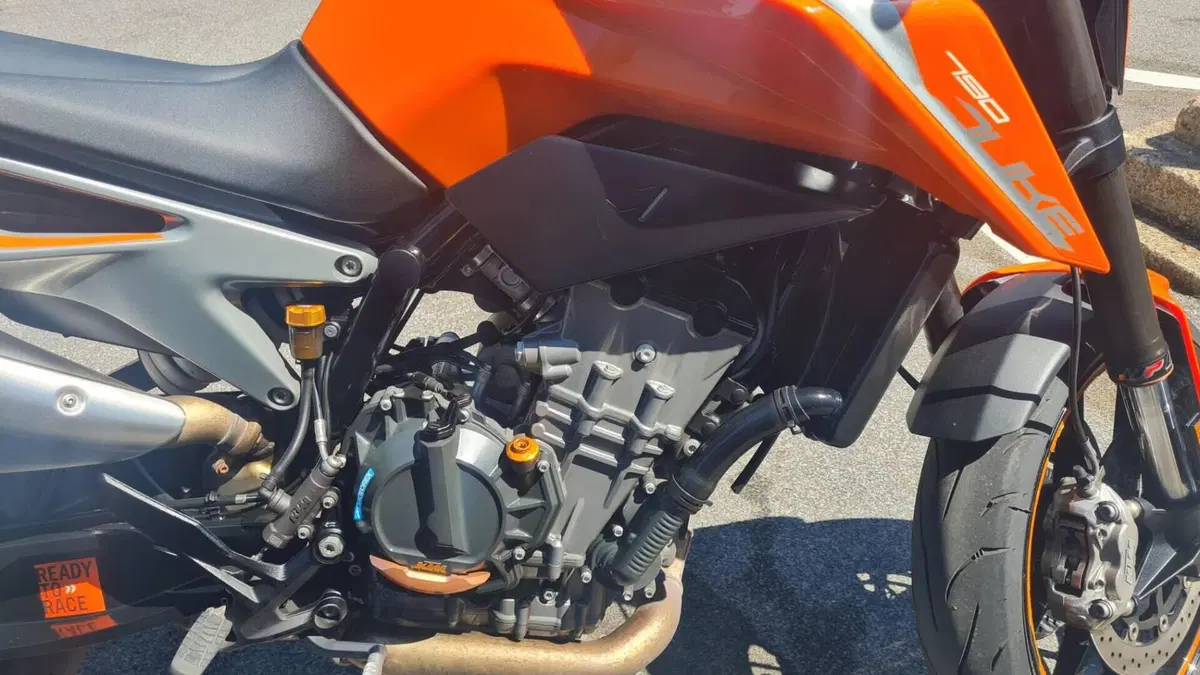 KTM 790 Duke (2018 - 20)  (6)