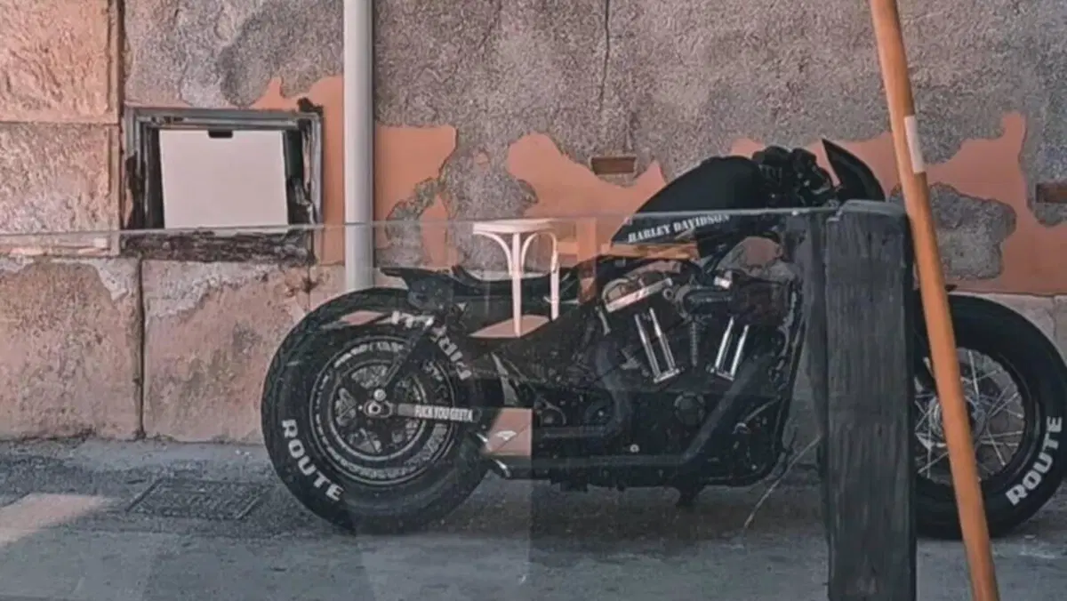Harley-Davidson 1200 Forty-Eight (2010 - 15)  (2)