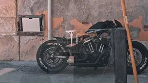 Harley-Davidson 1200 Forty-Eight (2010 - 15)  (2)