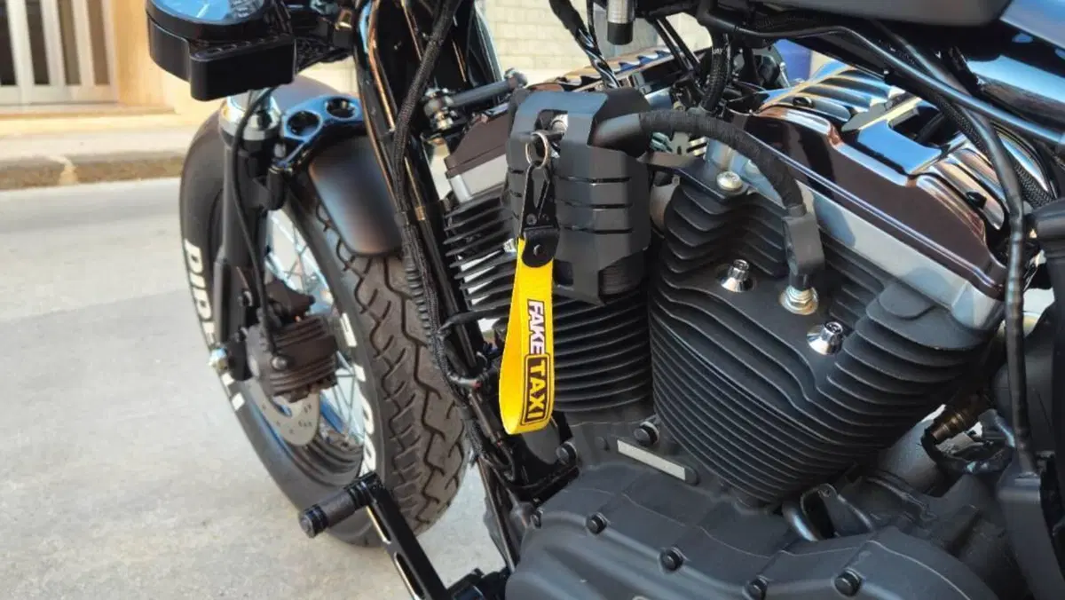 Harley-Davidson 1200 Forty-Eight (2010 - 15)  (8)