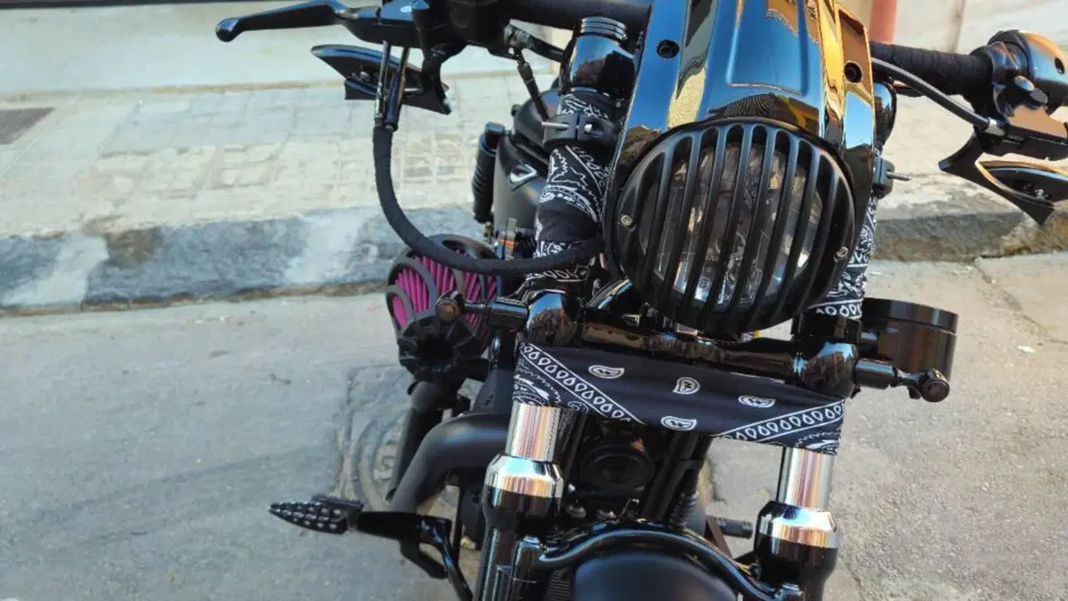 Harley-Davidson 1200 Forty-Eight (2010 - 15)  (17)
