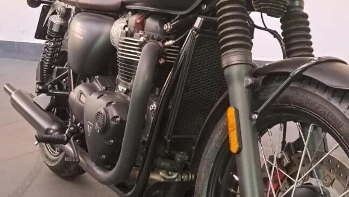 Triumph Bonneville T100 Black (2017 - 20)  (8)
