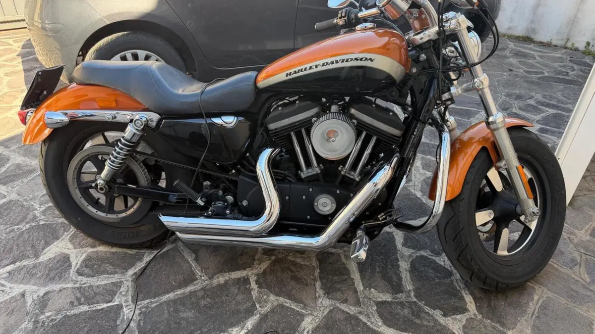 Harley-Davidson 1200 Custom ABS (2014 - 16) - XL 1200C  (2)
