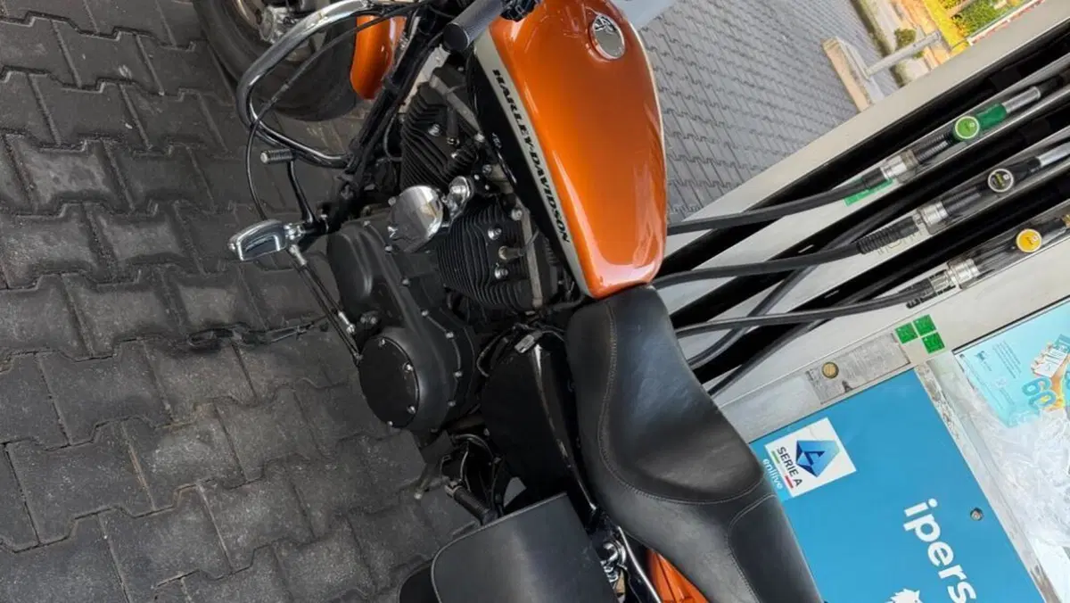 Harley-Davidson 1200 Custom ABS (2014 - 16) - XL 1200C  (3)