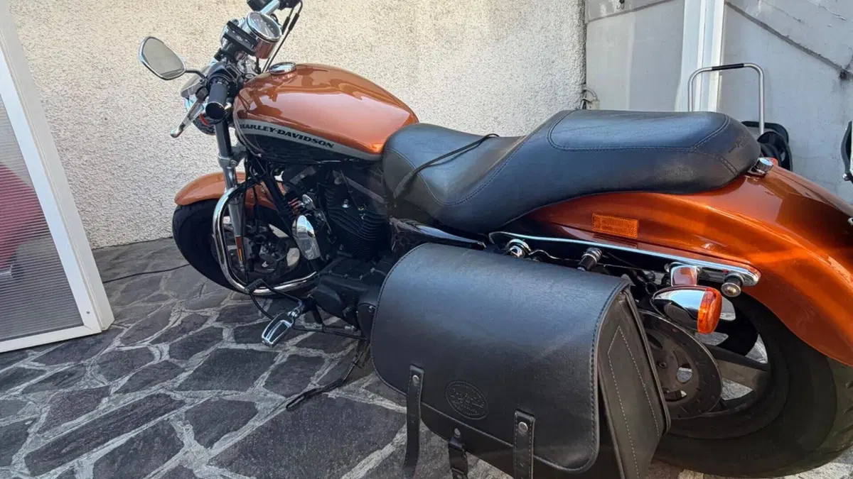 Harley-Davidson 1200 Custom ABS (2014 - 16) - XL 1200C  (7)