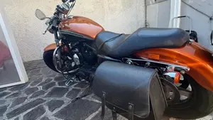 Harley-Davidson 1200 Custom ABS (2014 - 16) - XL 1200C  (6)