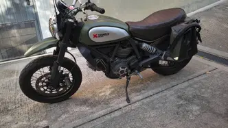 Ducati Scrambler 800 Urban Enduro (2015 - 16) usata