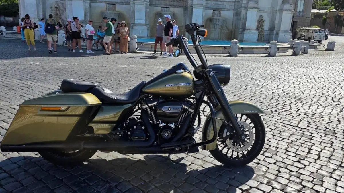 Harley-Davidson 107 Road King Special (2017 - 18) - FLHRXS  (5)
