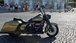 Harley-Davidson 107 Road King Special (2017 - 18) - FLHRXS  (5)