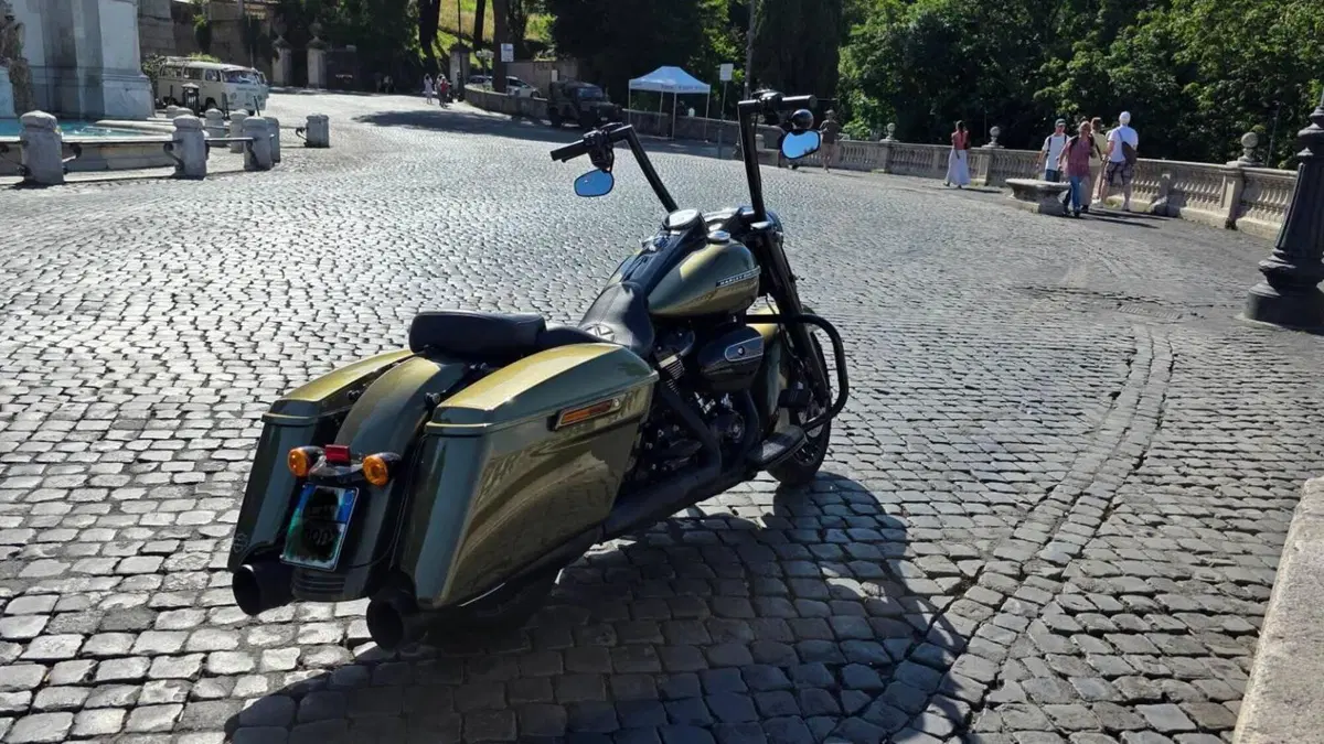 Harley-Davidson 107 Road King Special (2017 - 18) - FLHRXS  (6)